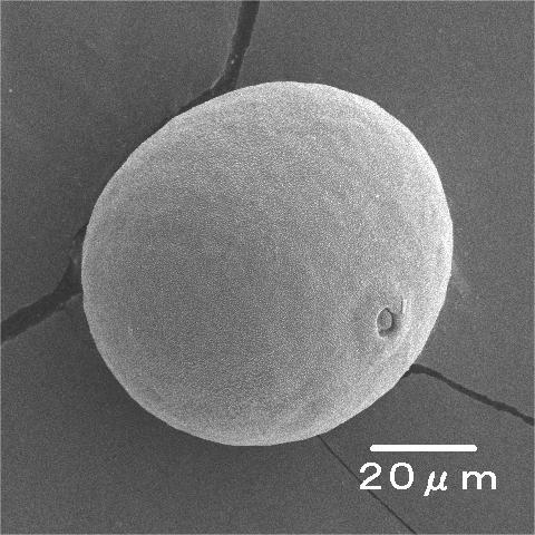 Cenosphere SEM Structure