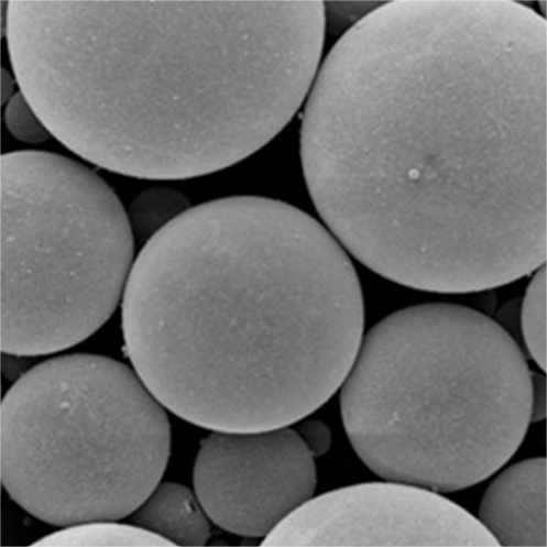 Hollow Microsphere Structure
